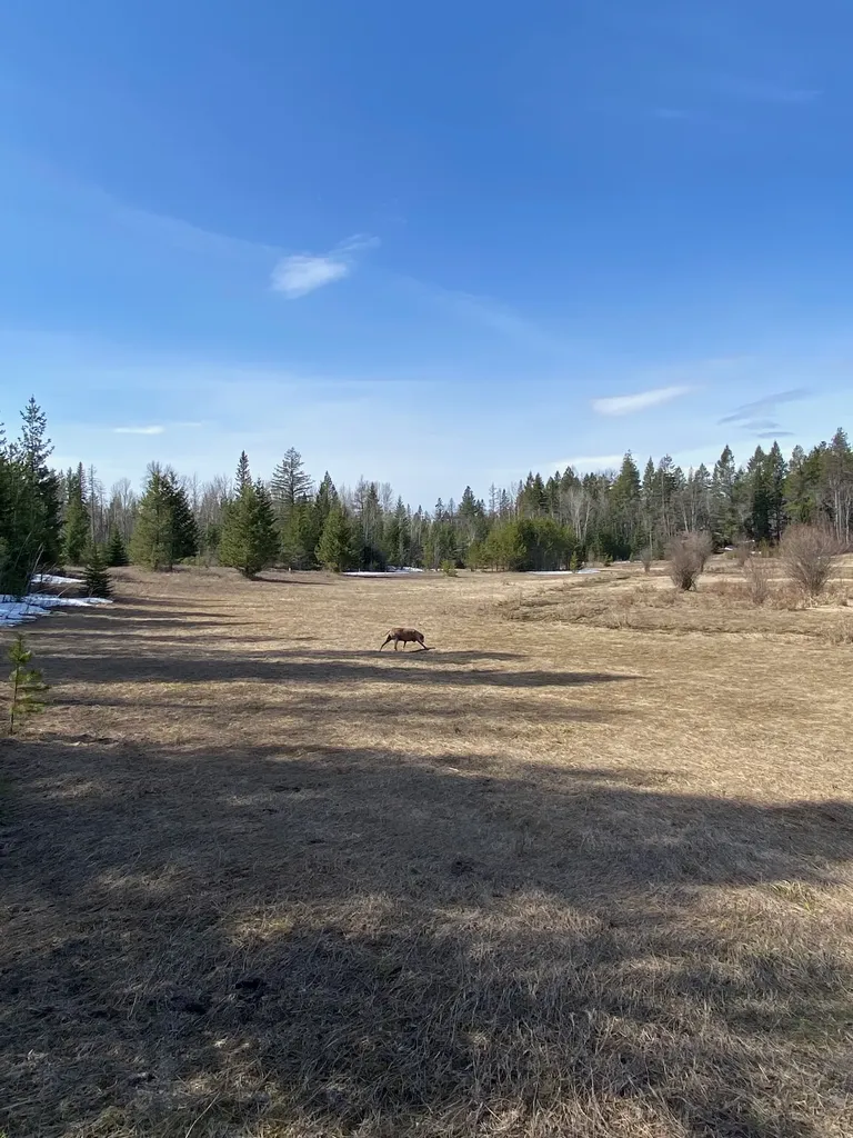 214 Aspen Lane Columbia Falls MT 59912