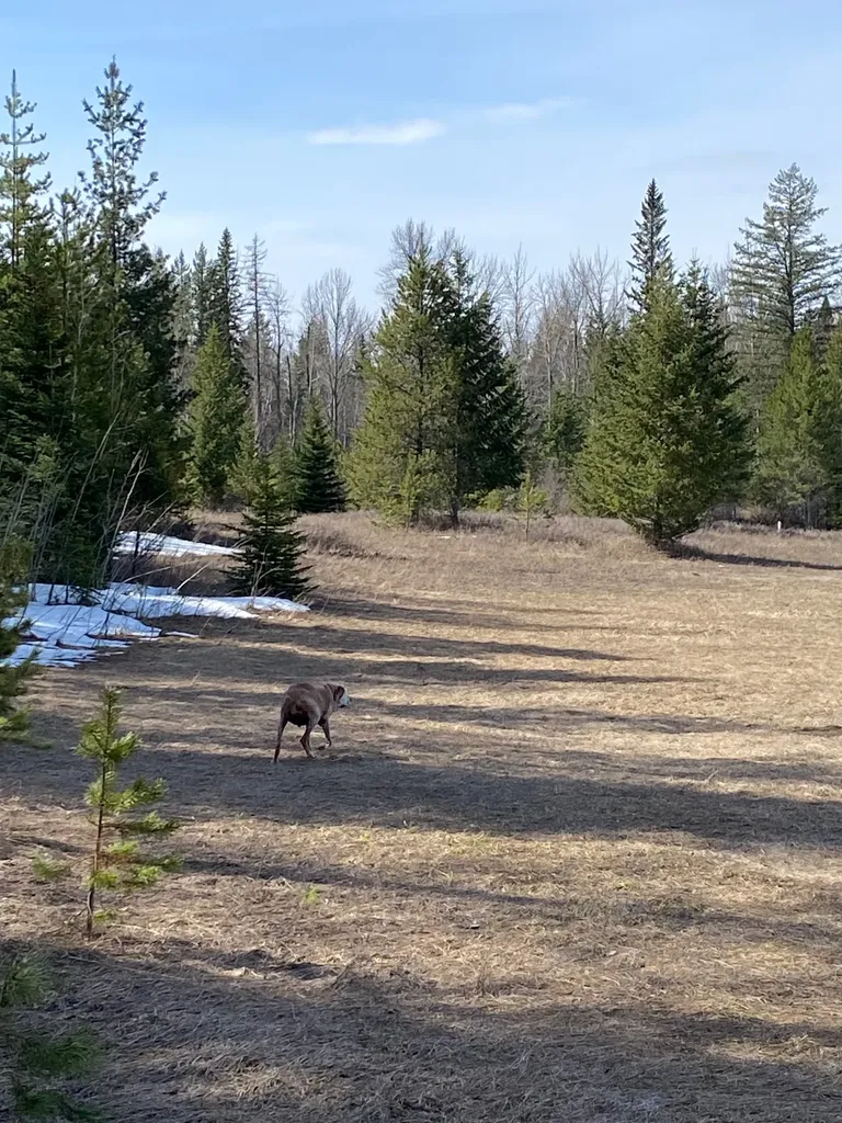 214 Aspen Lane Columbia Falls MT 59912