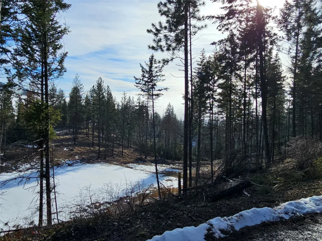 24 Labrador Lane Plains MT 59859