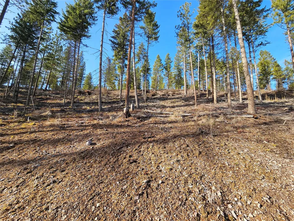 24 Labrador Lane Plains MT 59859