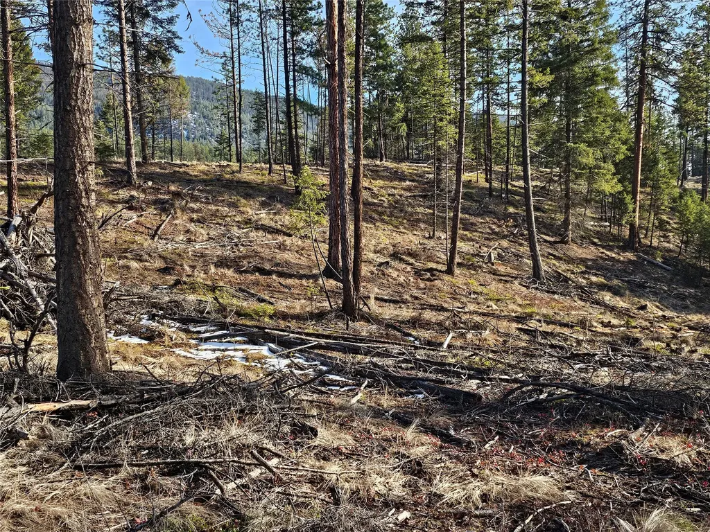 24 Labrador Lane Plains MT 59859