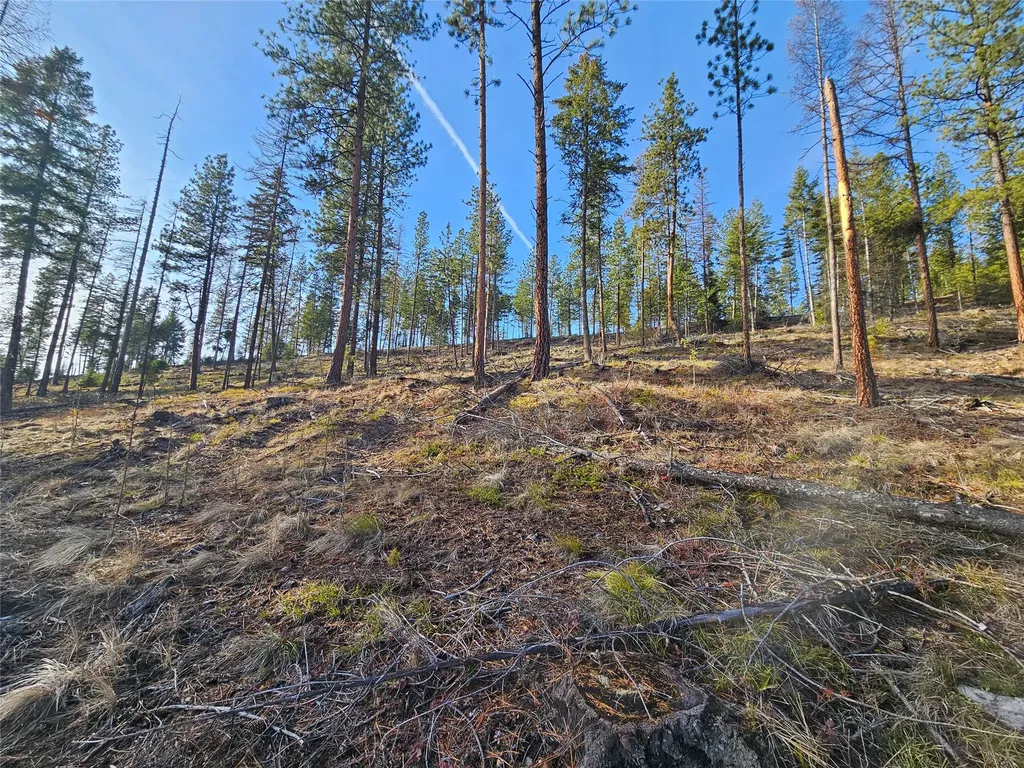 24 Labrador Lane Plains MT 59859
