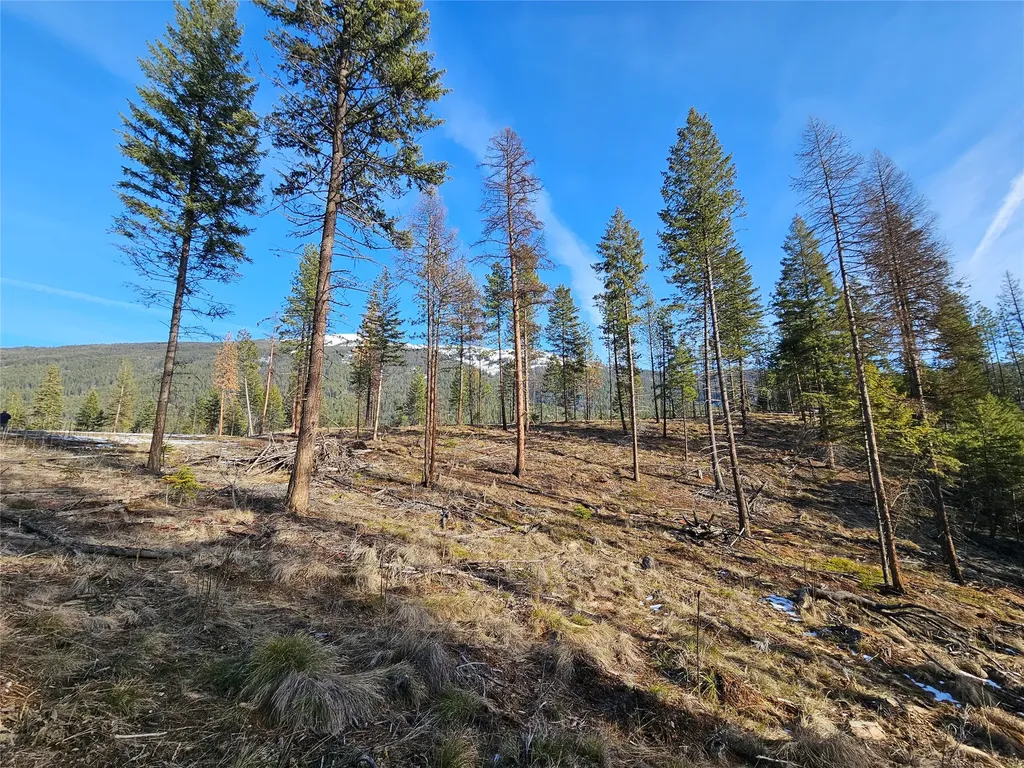 24 Labrador Lane Plains MT 59859