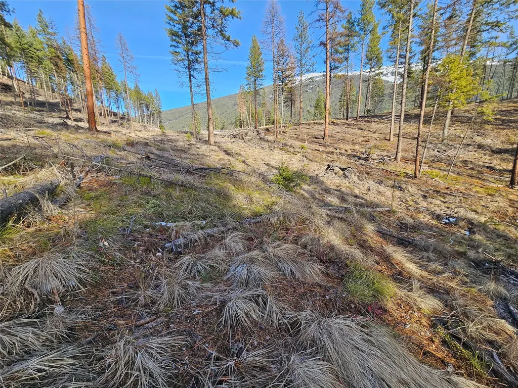 24 Labrador Lane Plains MT 59859