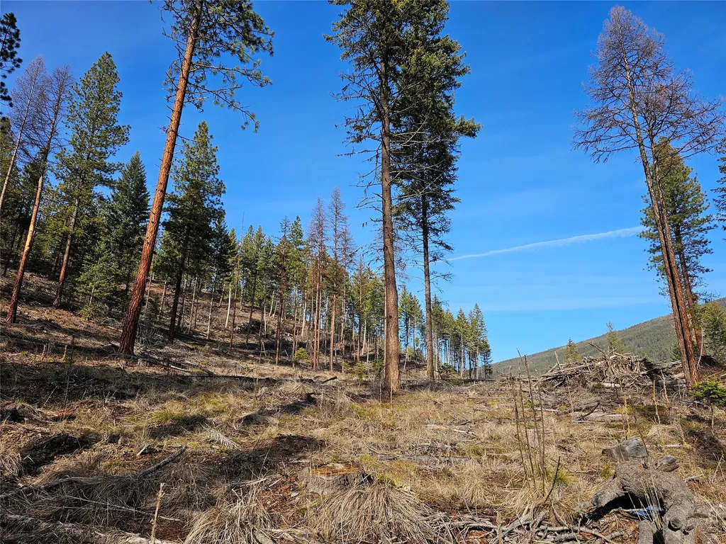 24 Labrador Lane Plains MT 59859