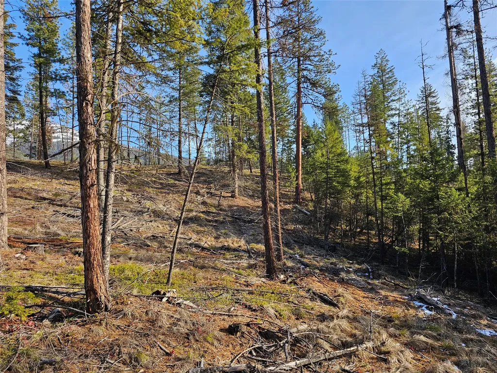 24 Labrador Lane Plains MT 59859