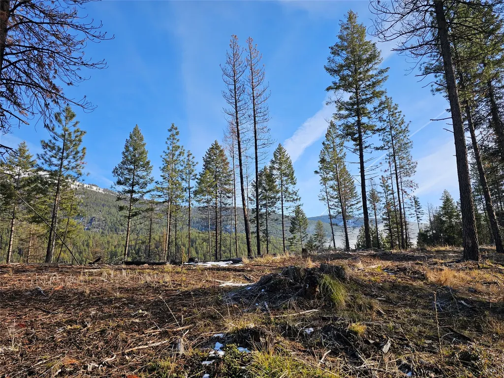 24 Labrador Lane Plains MT 59859