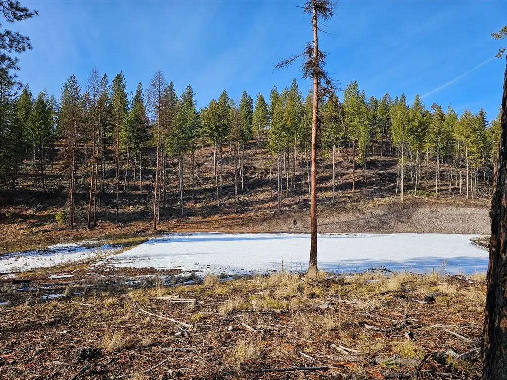 24 Labrador Lane Plains MT 59859