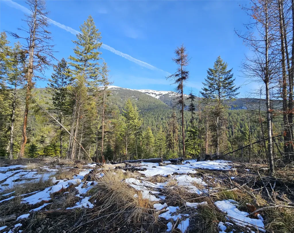 24 Labrador Lane Plains MT 59859