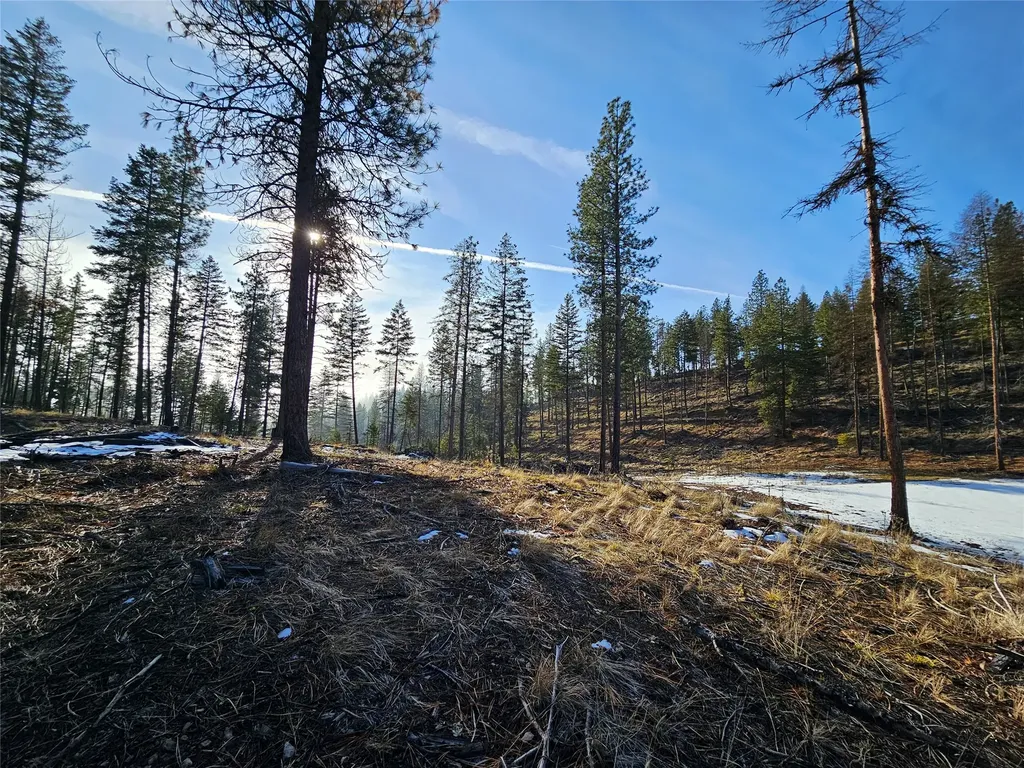 24 Labrador Lane Plains MT 59859
