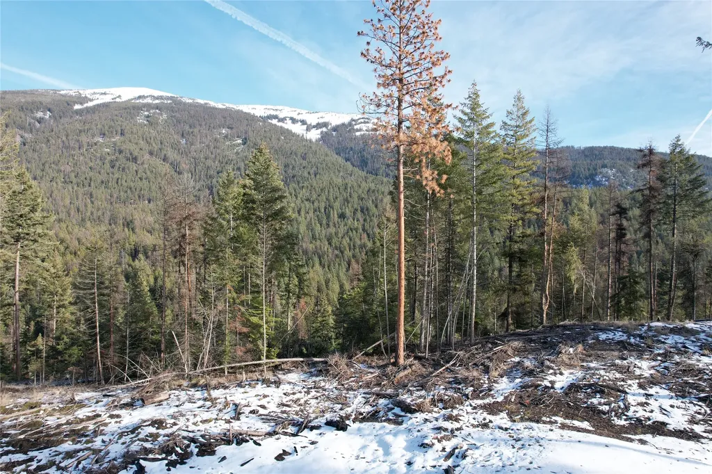 24 Labrador Lane Plains MT 59859