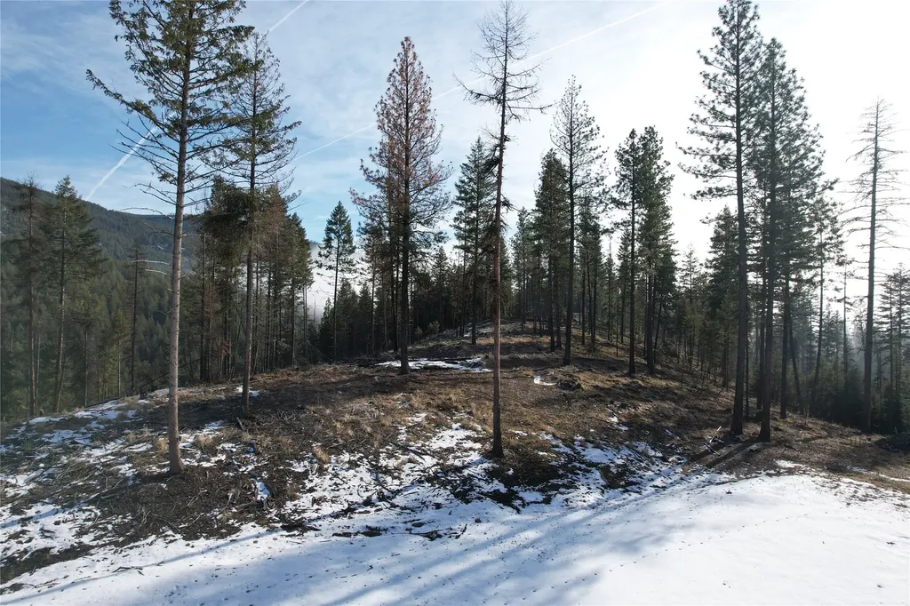 24 Labrador Lane Plains MT 59859