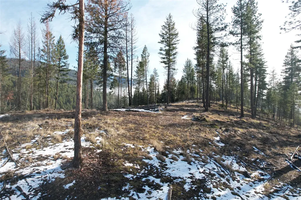 24 Labrador Lane Plains MT 59859