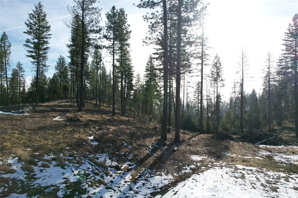 24 Labrador Lane Plains MT 59859