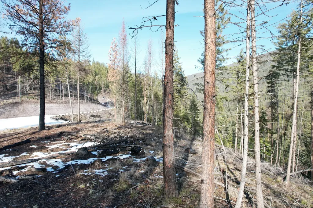 24 Labrador Lane Plains MT 59859