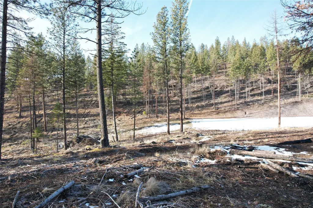 24 Labrador Lane Plains MT 59859