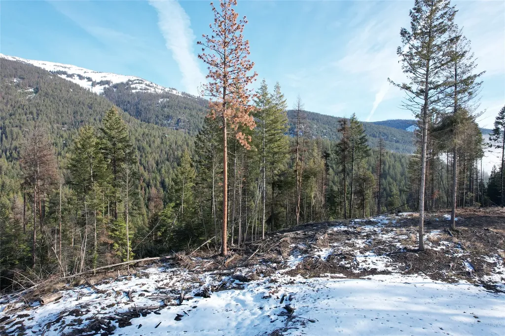 24 Labrador Lane Plains MT 59859