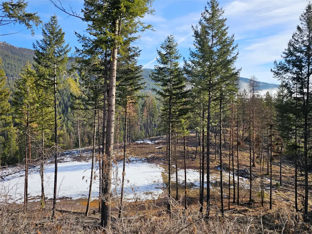 24 Labrador Lane Plains MT 59859