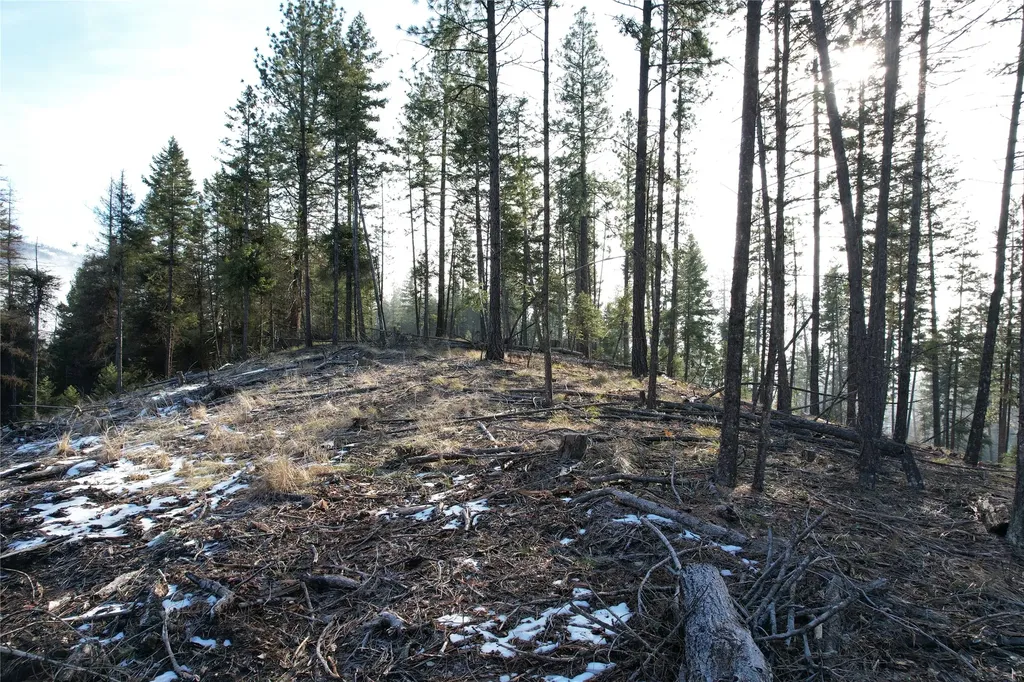 24 Labrador Lane Plains MT 59859