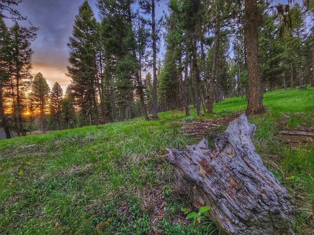 289 Seclusion Point Seeley Lake MT 59868