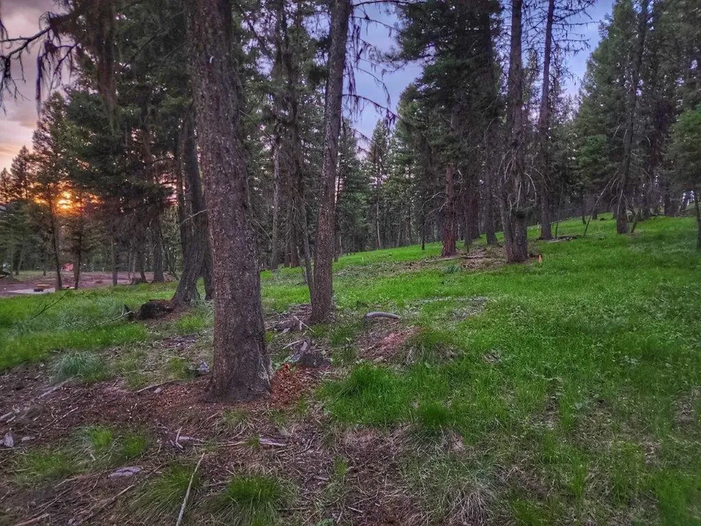289 Seclusion Point Seeley Lake MT 59868