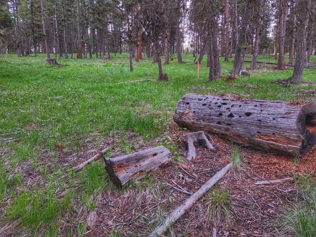 289 Seclusion Point Seeley Lake MT 59868