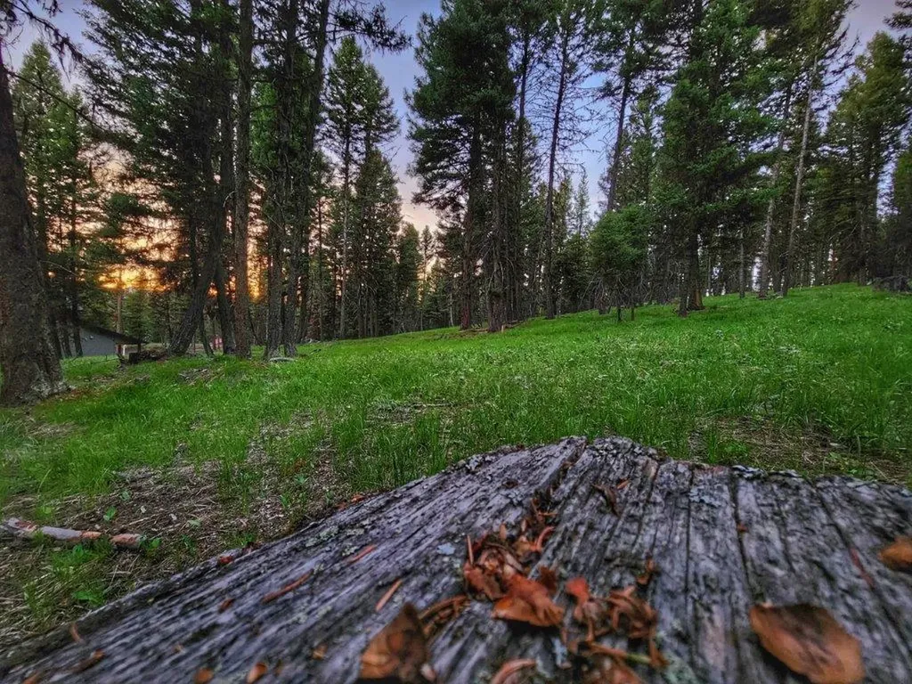 289 Seclusion Point Seeley Lake MT 59868