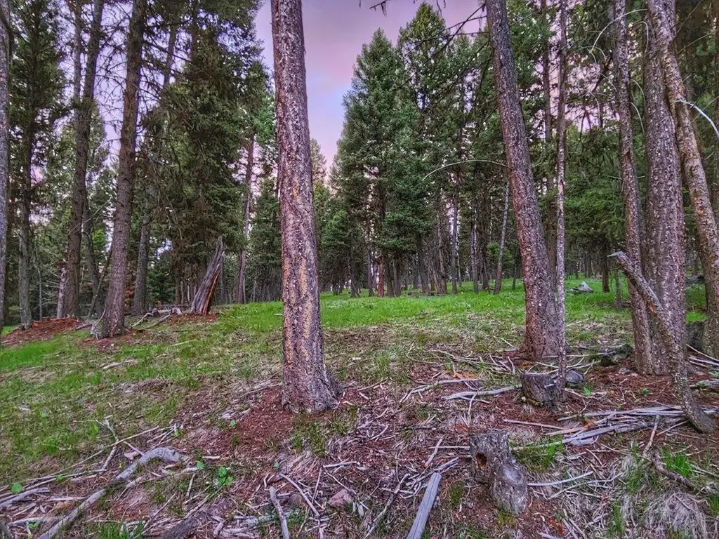 289 Seclusion Point Seeley Lake MT 59868