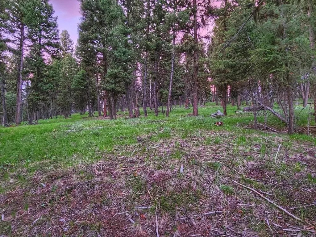 289 Seclusion Point Seeley Lake MT 59868