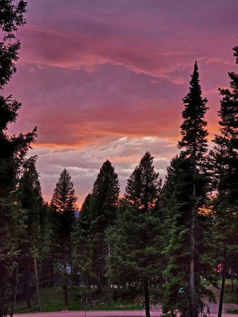 289 Seclusion Point Seeley Lake MT 59868