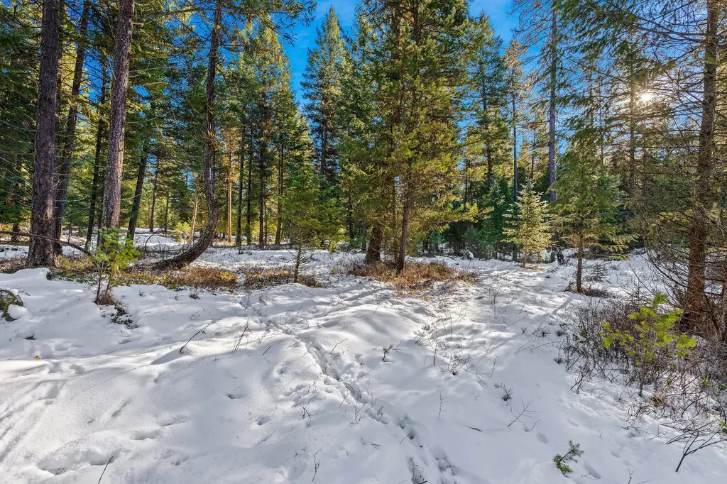1673 Whitefish Hills Drive Whitefish MT 59937