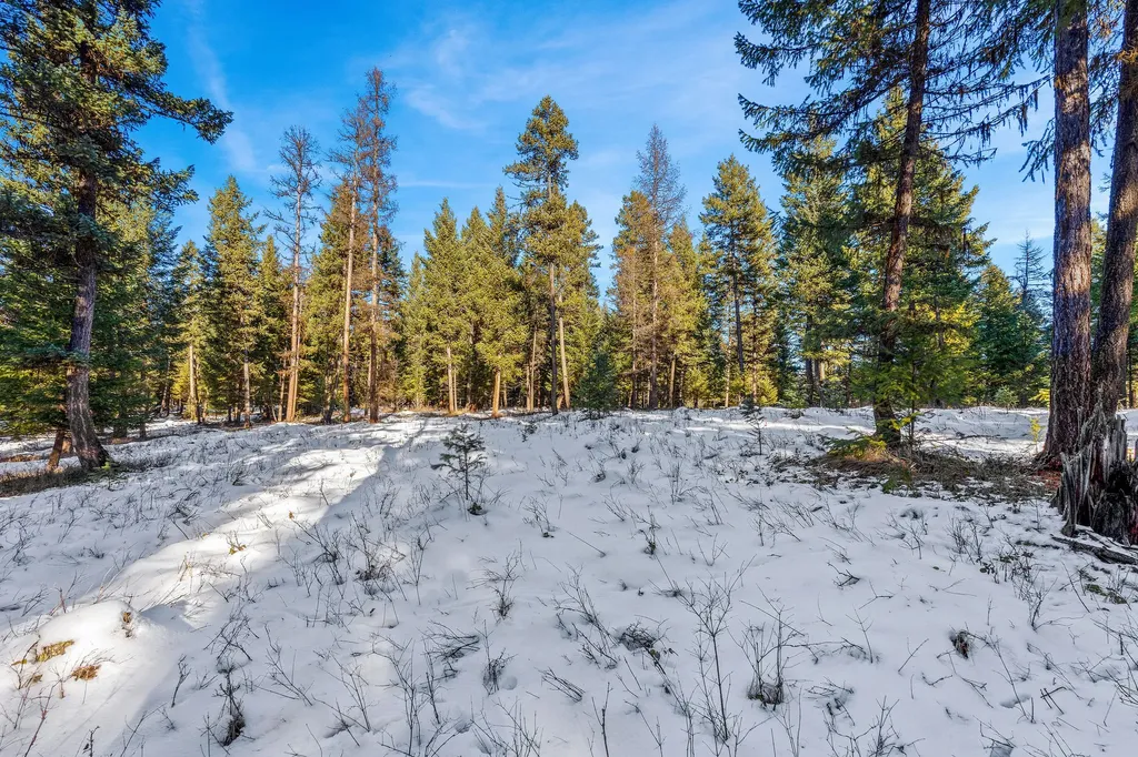 1673 Whitefish Hills Drive Whitefish MT 59937