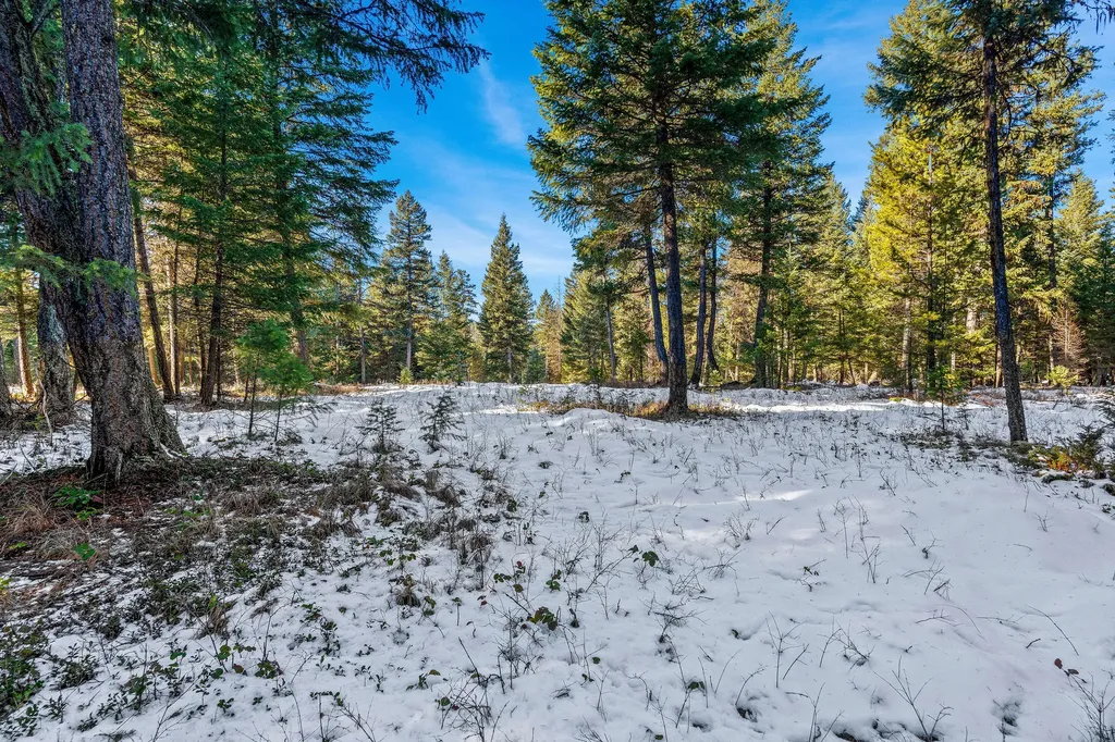 1673 Whitefish Hills Drive Whitefish MT 59937