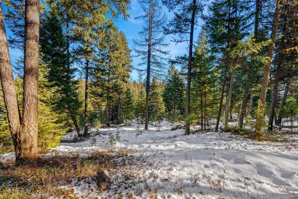 1673 Whitefish Hills Drive Whitefish MT 59937