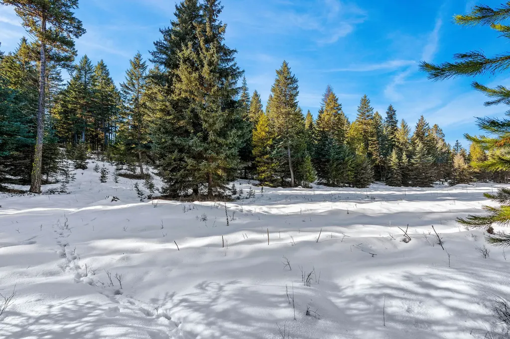 1673 Whitefish Hills Drive Whitefish MT 59937
