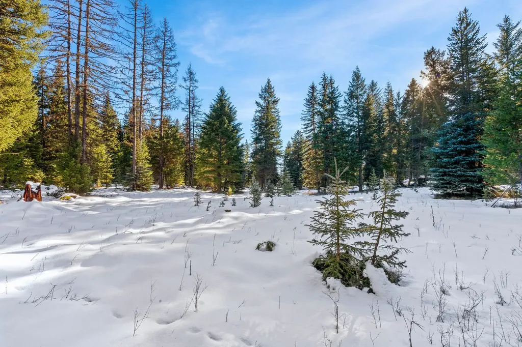 1673 Whitefish Hills Drive Whitefish MT 59937