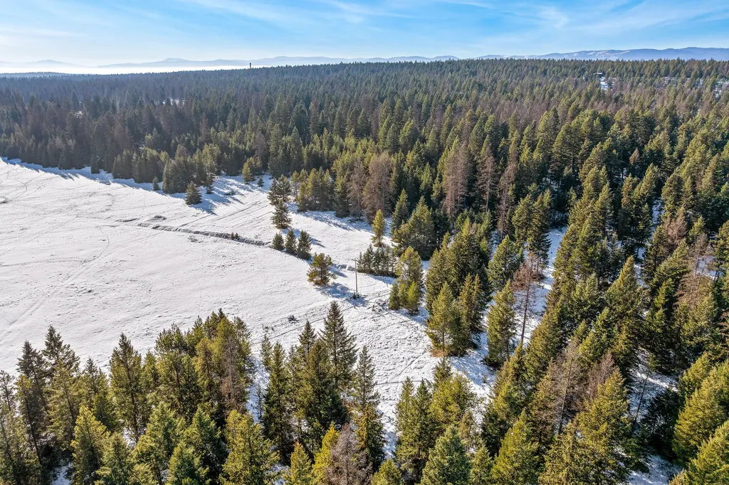 1673 Whitefish Hills Drive Whitefish MT 59937