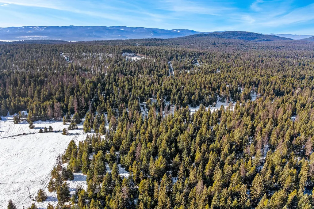 1673 Whitefish Hills Drive Whitefish MT 59937