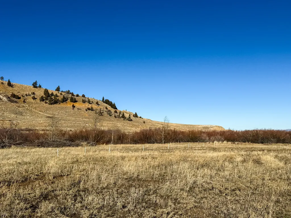2500 Mill Creek Road Anaconda MT 59711