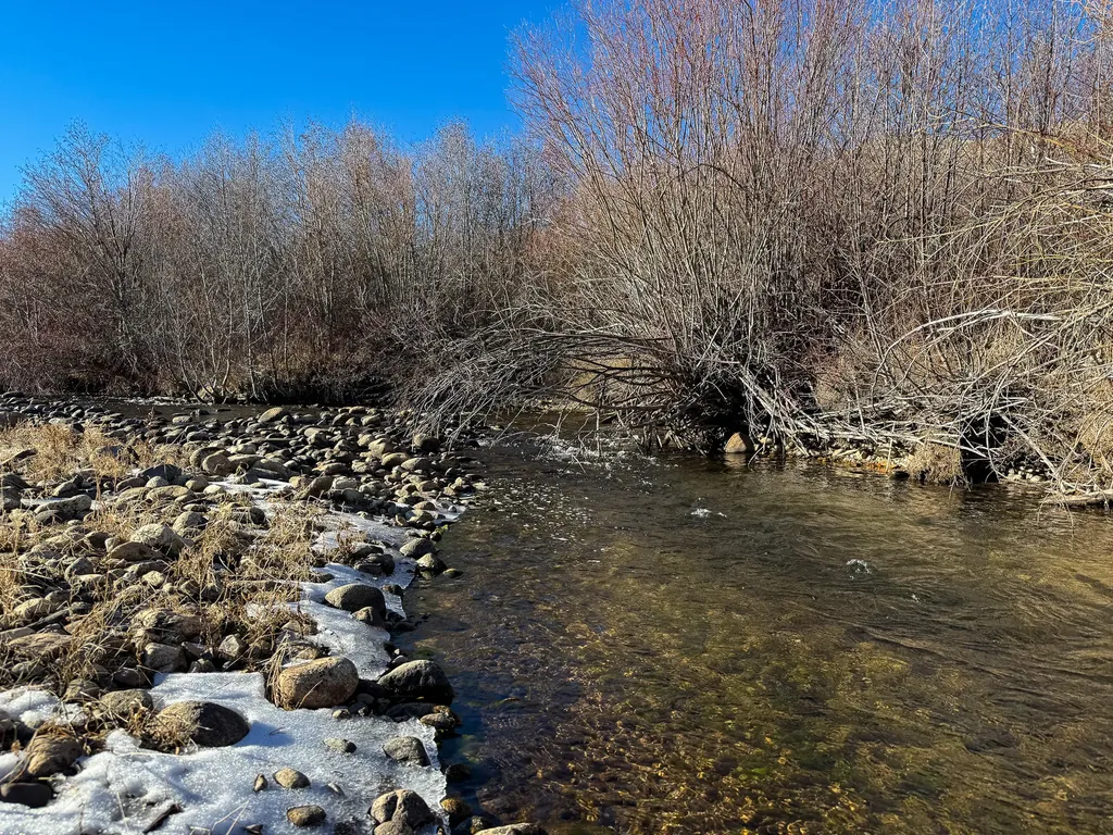 2500 Mill Creek Road Anaconda MT 59711