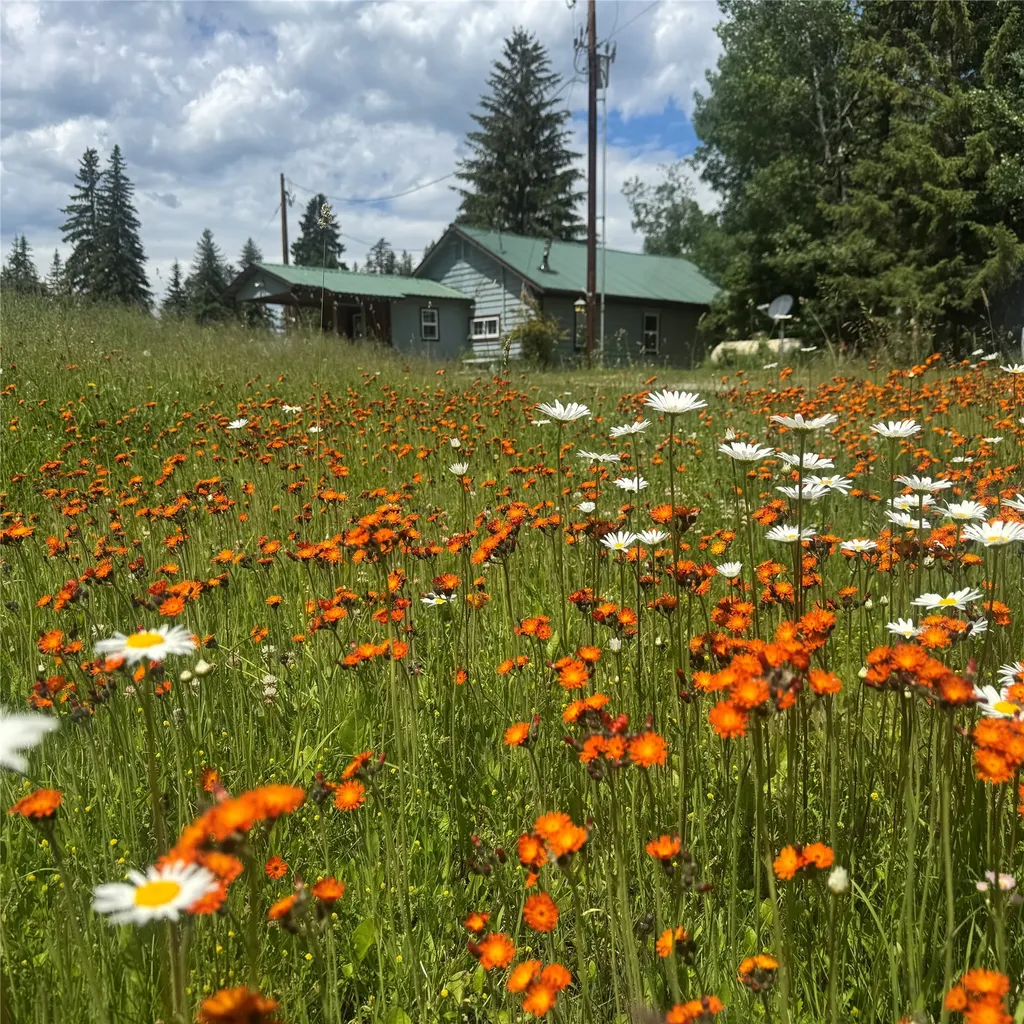 4891 & 4875 Us Highway 93 W Whitefish MT 59937