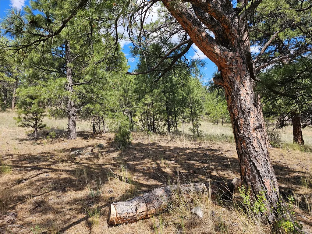 Nhn Upper Sawmill Creek Road Cascade MT 59421
