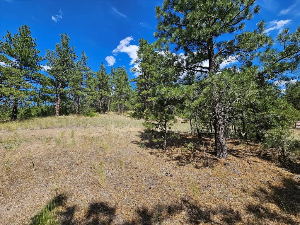 Nhn Upper Sawmill Creek Road Cascade MT 59421
