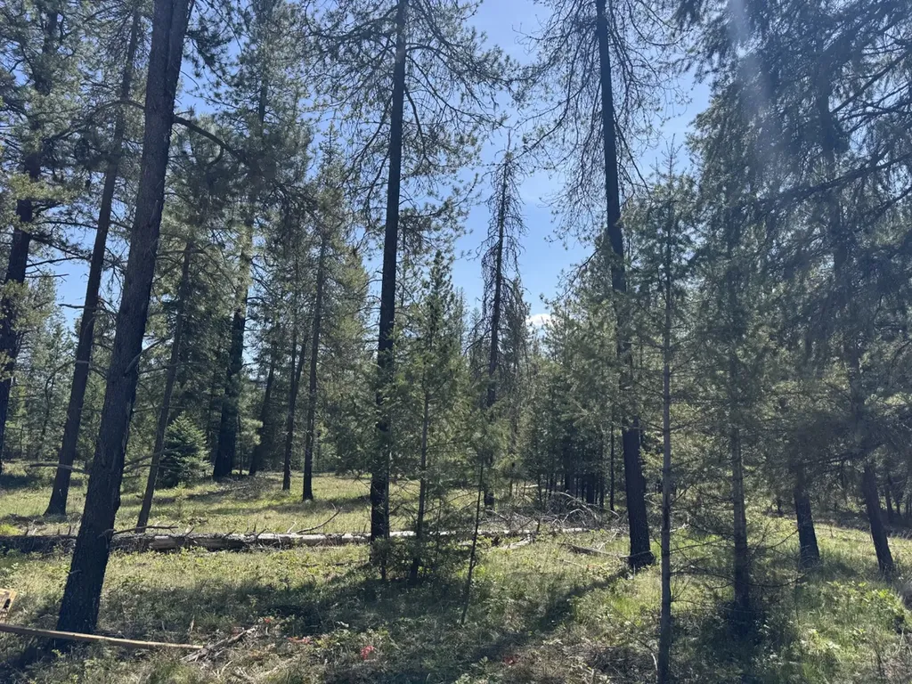 Nhn Franko Lane Trout Creek MT 59874