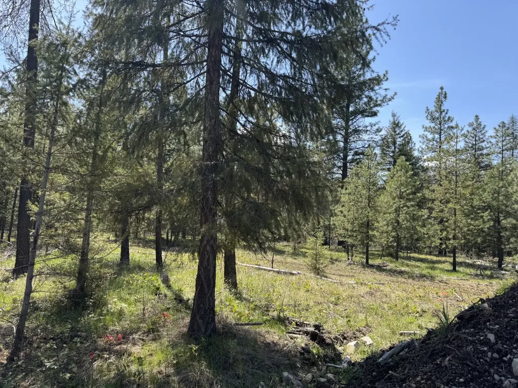Nhn Franko Lane Trout Creek MT 59874
