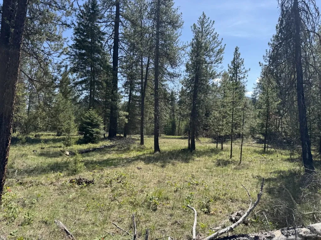Nhn Franko Lane Trout Creek MT 59874