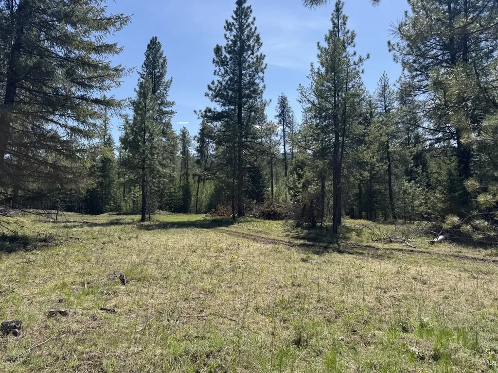 Nhn Franko Lane Trout Creek MT 59874