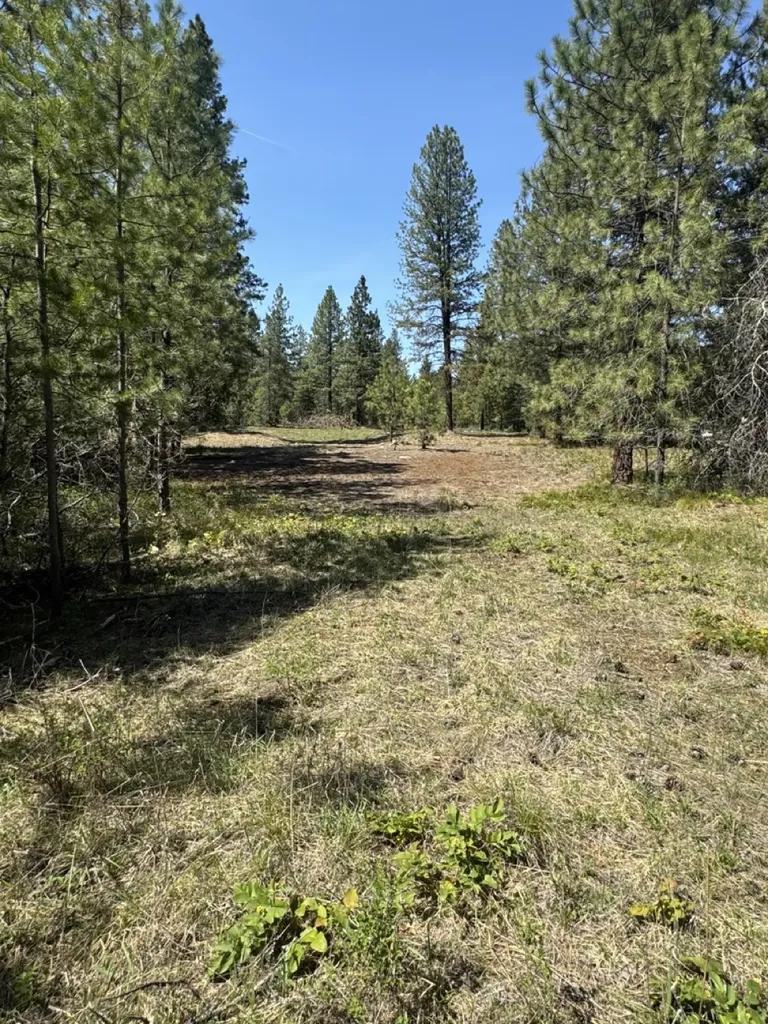 Nhn Franko Lane Trout Creek MT 59874