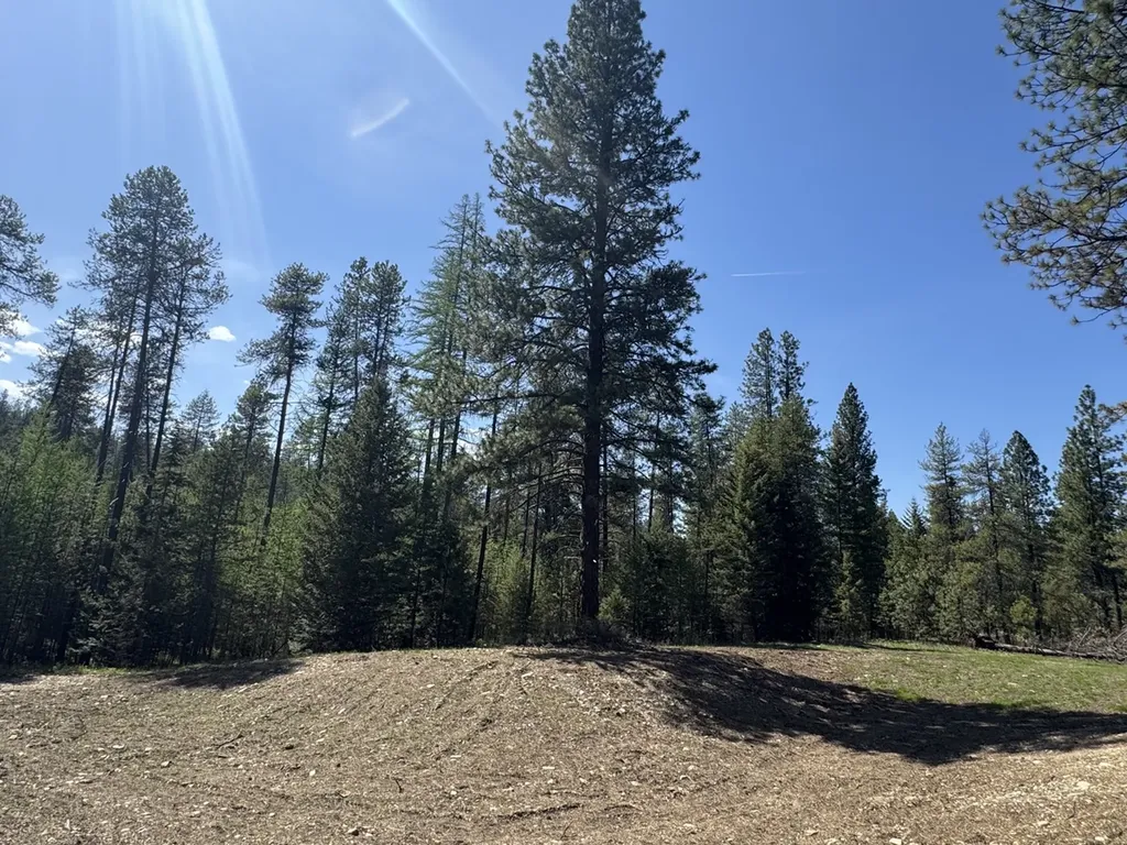 Nhn Franko Lane Trout Creek MT 59874