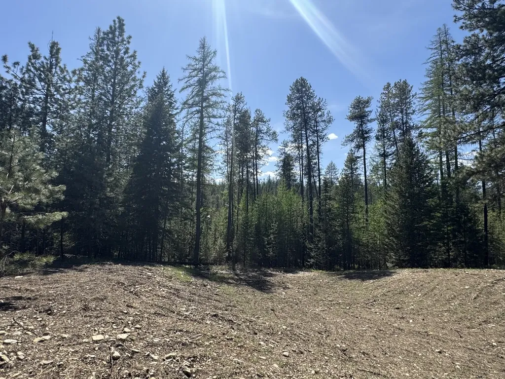 Nhn Franko Lane Trout Creek MT 59874